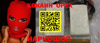 соль ск Сланцы